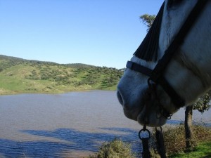 Rutas a caballo