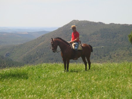 paseos-a-caballo