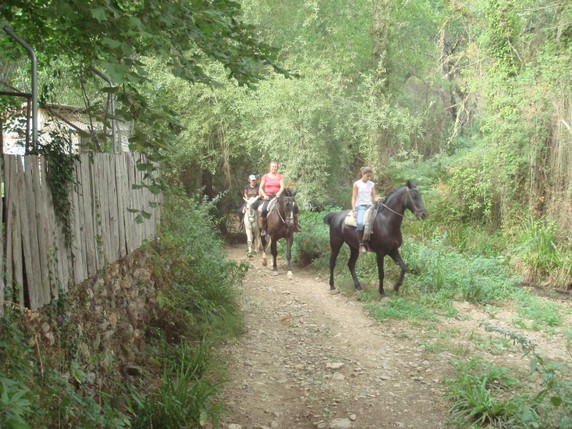 rutas-a-caballo-aracena1