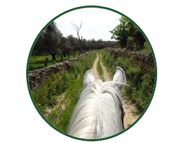 rutas a caballo en Aracena